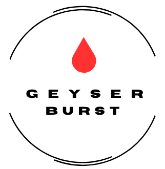 Burst Geyser logo cut